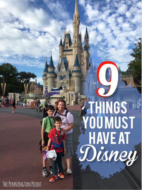 9 things you must have if you're taking a trip to Disney World! 